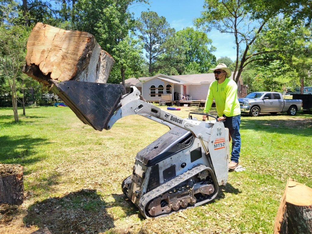 deer park tx tree removal tree trimming tree services storm damage tree removal fence repair wood fence installation cedar fence pine fence houston tree care professional tree trimming affordable fence repair top rated fence company licensed tree service insured tree removal